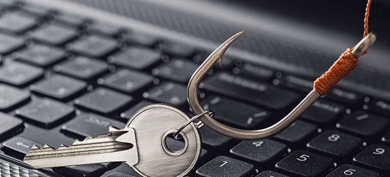 SANS Phishing, fish hook grabbing key on keyboard